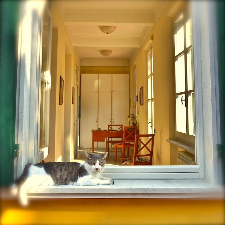 Hotel Villa Fiorisella มารีนา ดิ มาซซา ภายนอก รูปภาพ
